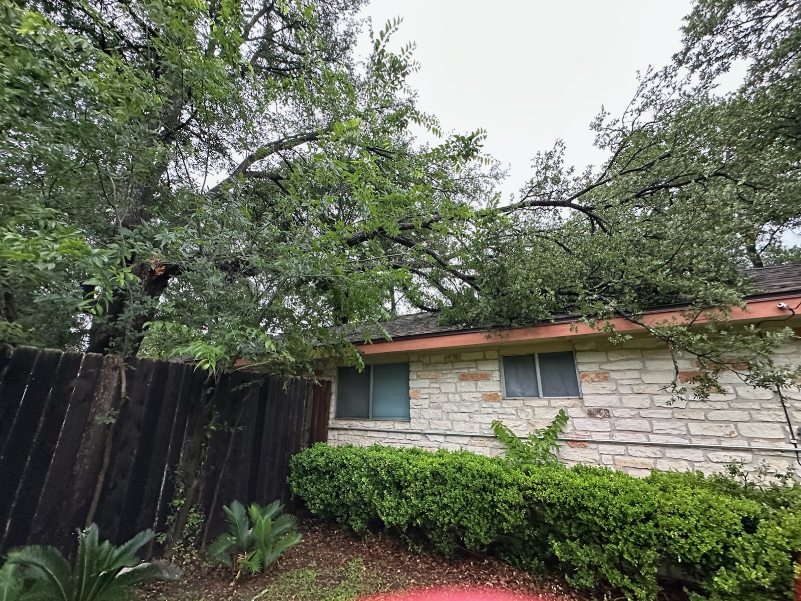 Emergency Tree Service