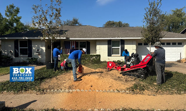 Stump Grinding