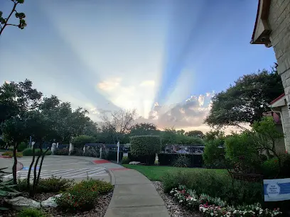 Tree Service services in Cedar Park