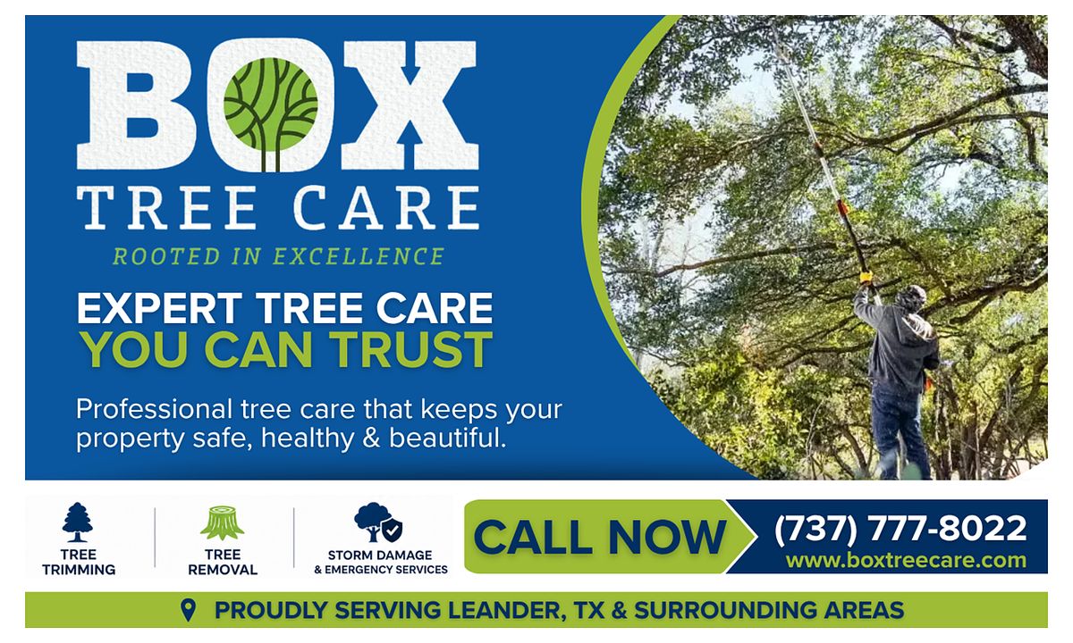 Box Tree Care professional tree service